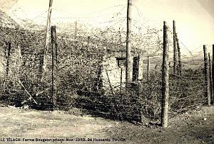 Palica - C- Le Telagh 006